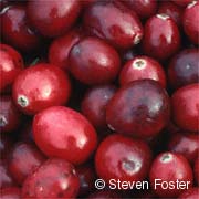 Cranberry