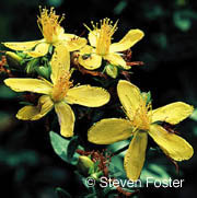 St. John's Wort